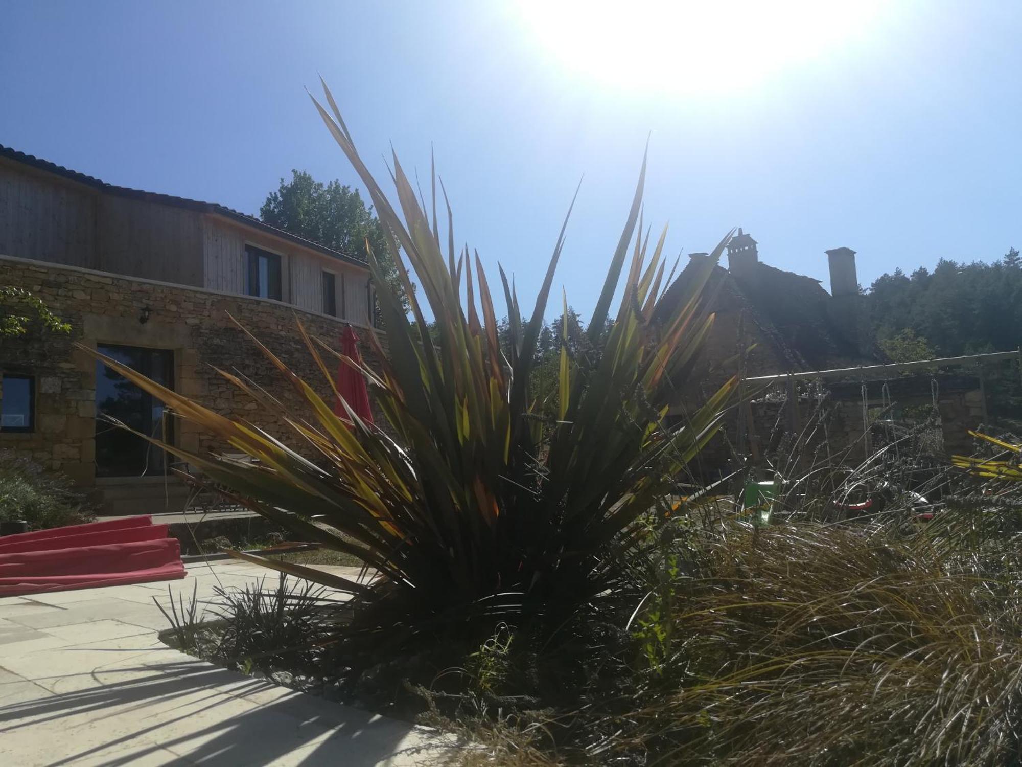Gite Les Combes Montignac Lascaux Ngoại thất bức ảnh